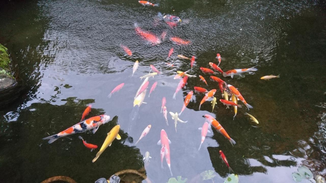 Gyokutei Hotel Hakone Eksteriør billede