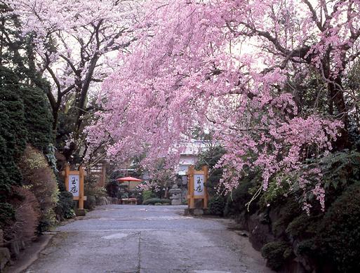 Gyokutei Hotel Hakone Eksteriør billede